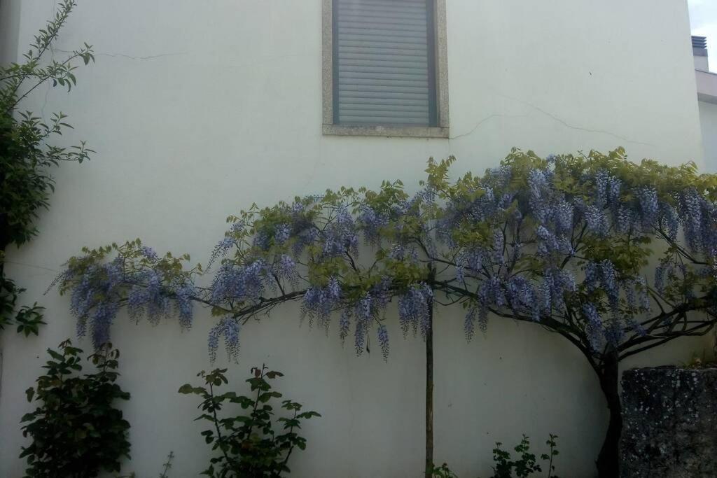 Casa Da Oliveira Apartment Milhão Exterior foto